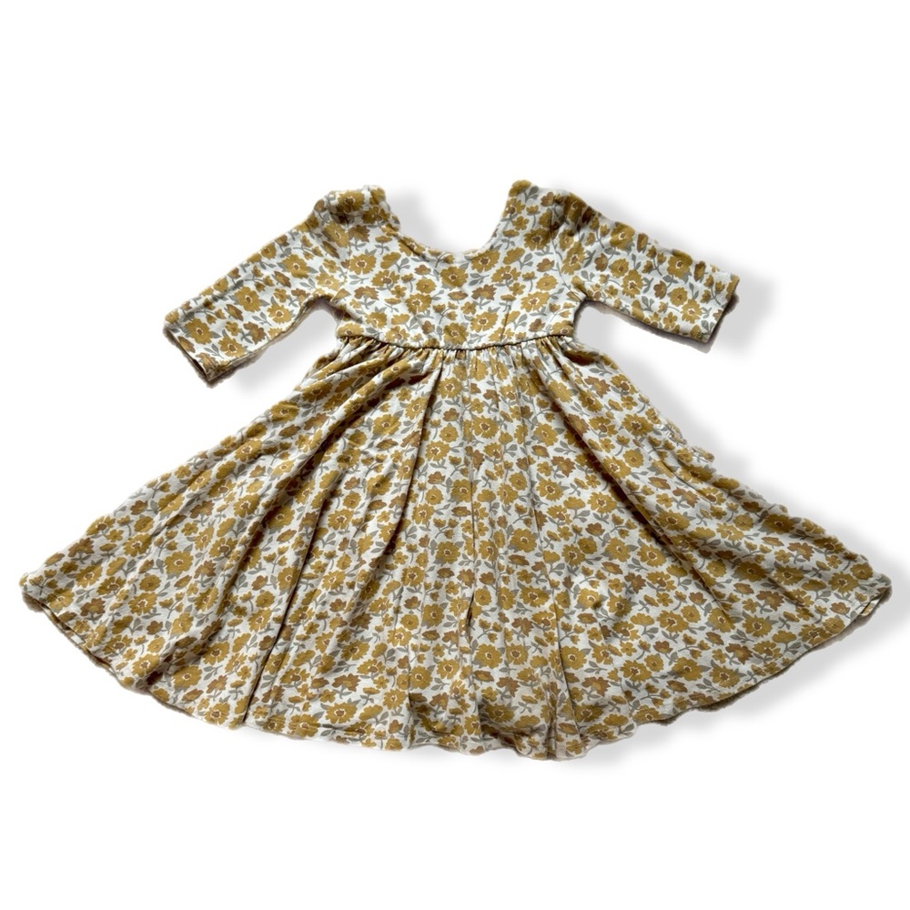 Remie Girl Floral Twirl Dress